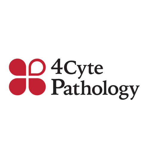 4 cyte image